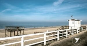 Read more about the article How To Get To Sylt, Germany