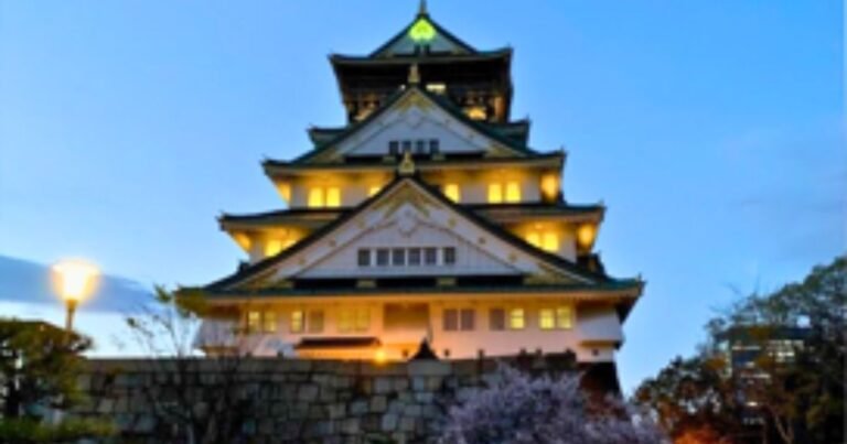 Osaka Castle At Night