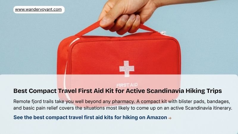 Compact travel first aid kit with blister treatment essential health item for active Scandinavia packing list