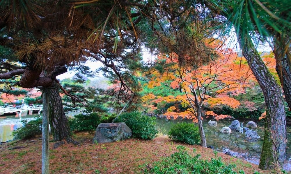 Maruyama Park in Kyoto, Japan, featuring scenic walking paths, traditional landscaping, and a peaceful atmosphere ideal for ending a day of sightseeing.