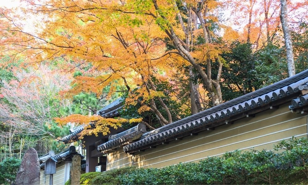 Okochi Sanso Villa in Arashiyama, Kyoto, showcasing traditional Japanese gardens, landscaped walking paths, and panoramic views of the surrounding mountains.