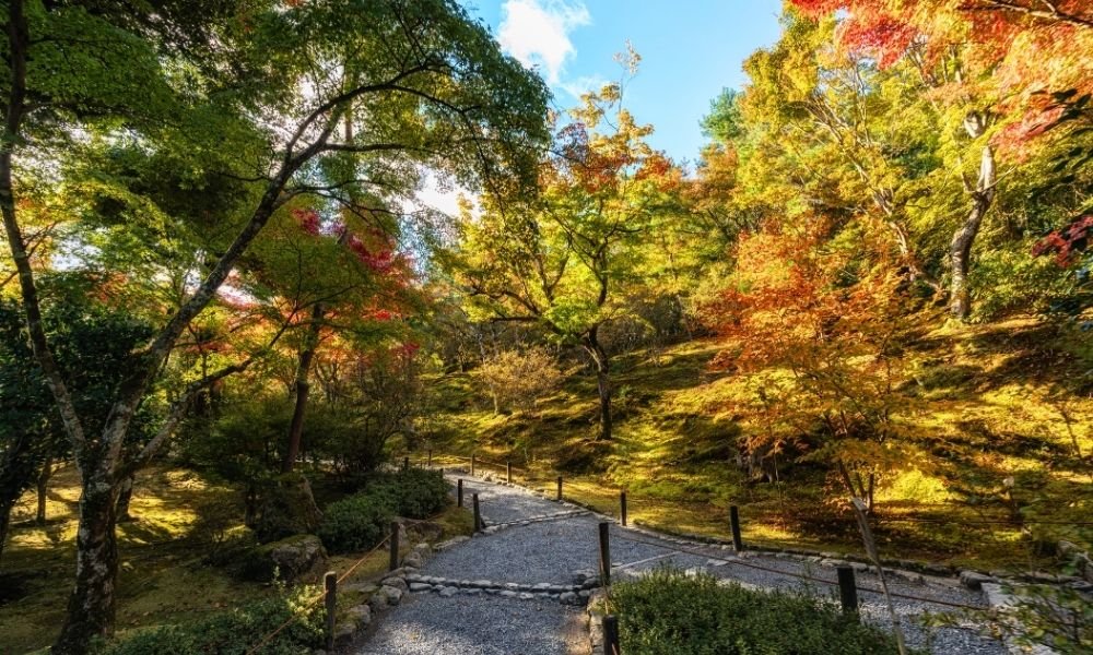 Visitors exploring Tenryu-ji Temple in Kyoto during the late morning surrounded by beautiful Zen gardens.