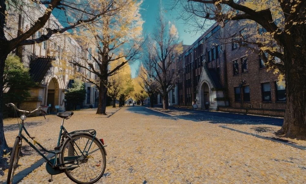 Charming colorful painted townhouses lining a quiet Copenhagen canal on an autumn morning with a black bicycle leaning against iron railings and golden fallen leaves on the cobblestones