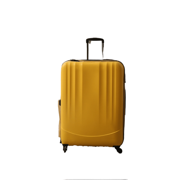 Checked luggage suitcase