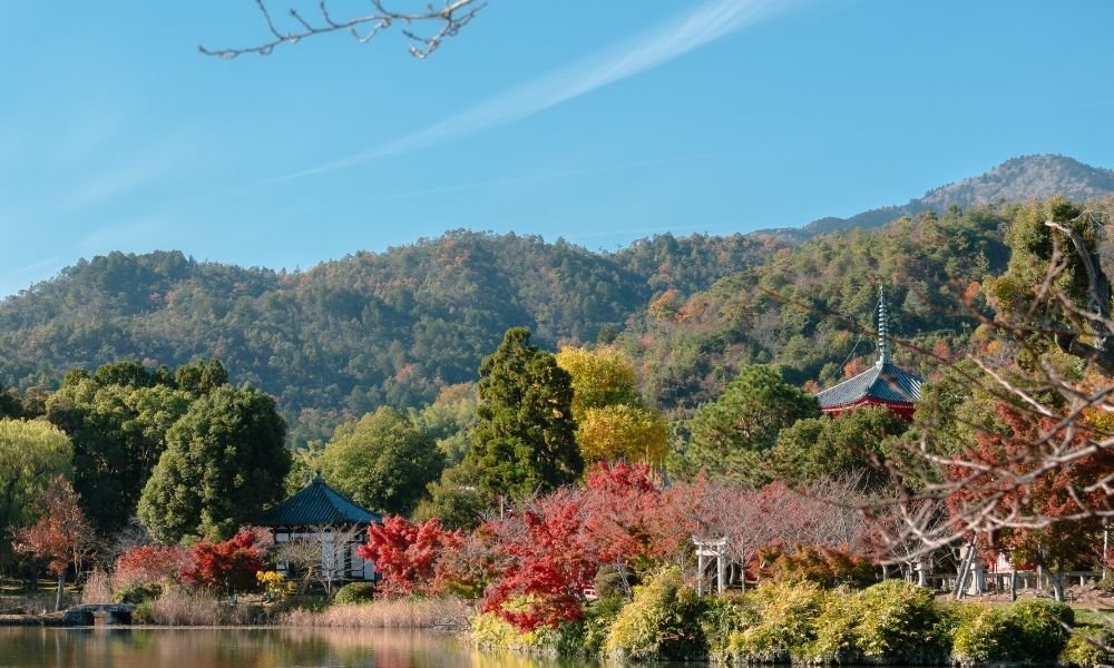 Rowboat on Osawa Pond at Daikaku-ji temple in Kyoto, morning light on water, pagoda and autumn maples reflected, single person in boat, stillness