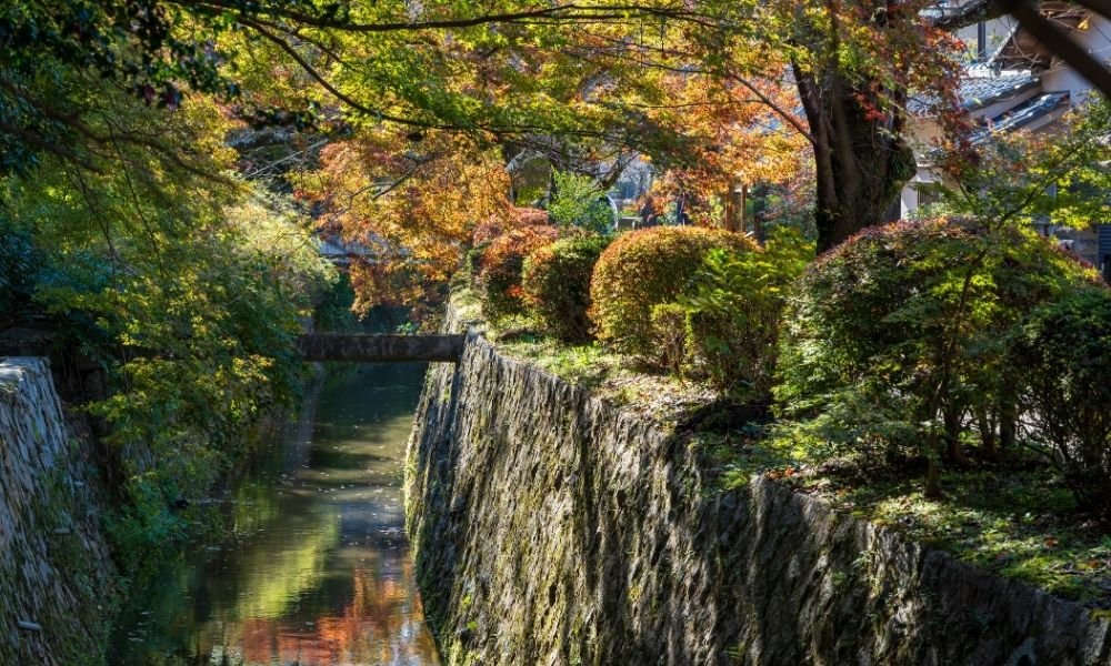 Red maple leaves overhanging stone canal in Kyoto Philosopher's Path, November morning, frost on stones, single fallen leaf on water, no tourists