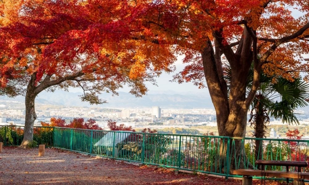 Yotsutsuji intersection viewpoint at Fushimi Inari with Kyoto city view in the background