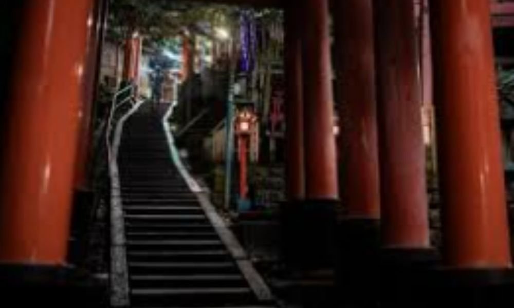Thousands of orange torii gates at Fushimi Inari Shrine in Kyoto at sunrise with soft morning light filtering through the trees and no crowds visible